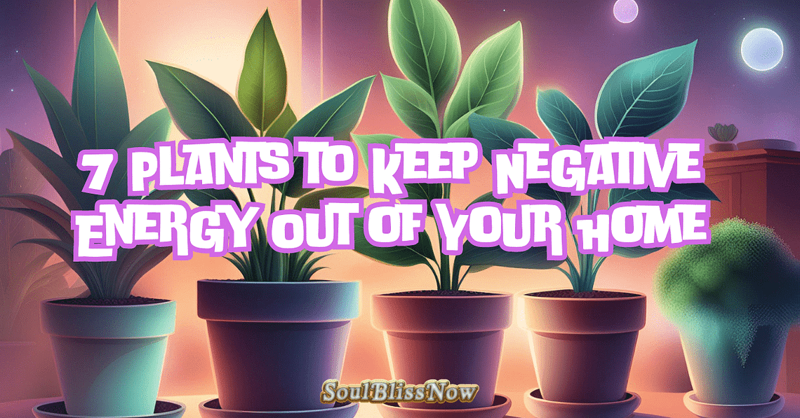7 Plants to Keep Negative Energy Out of Your Home