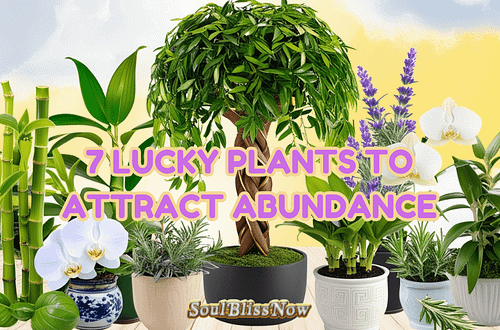 7 Lucky Plants To Attract Abundance