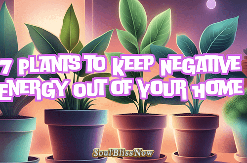 7 Plants to Keep Negative Energy Out of Your Home