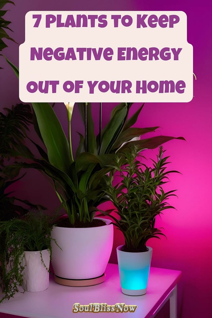 7 Plants to Keep Negative Energy Out of Your Home
